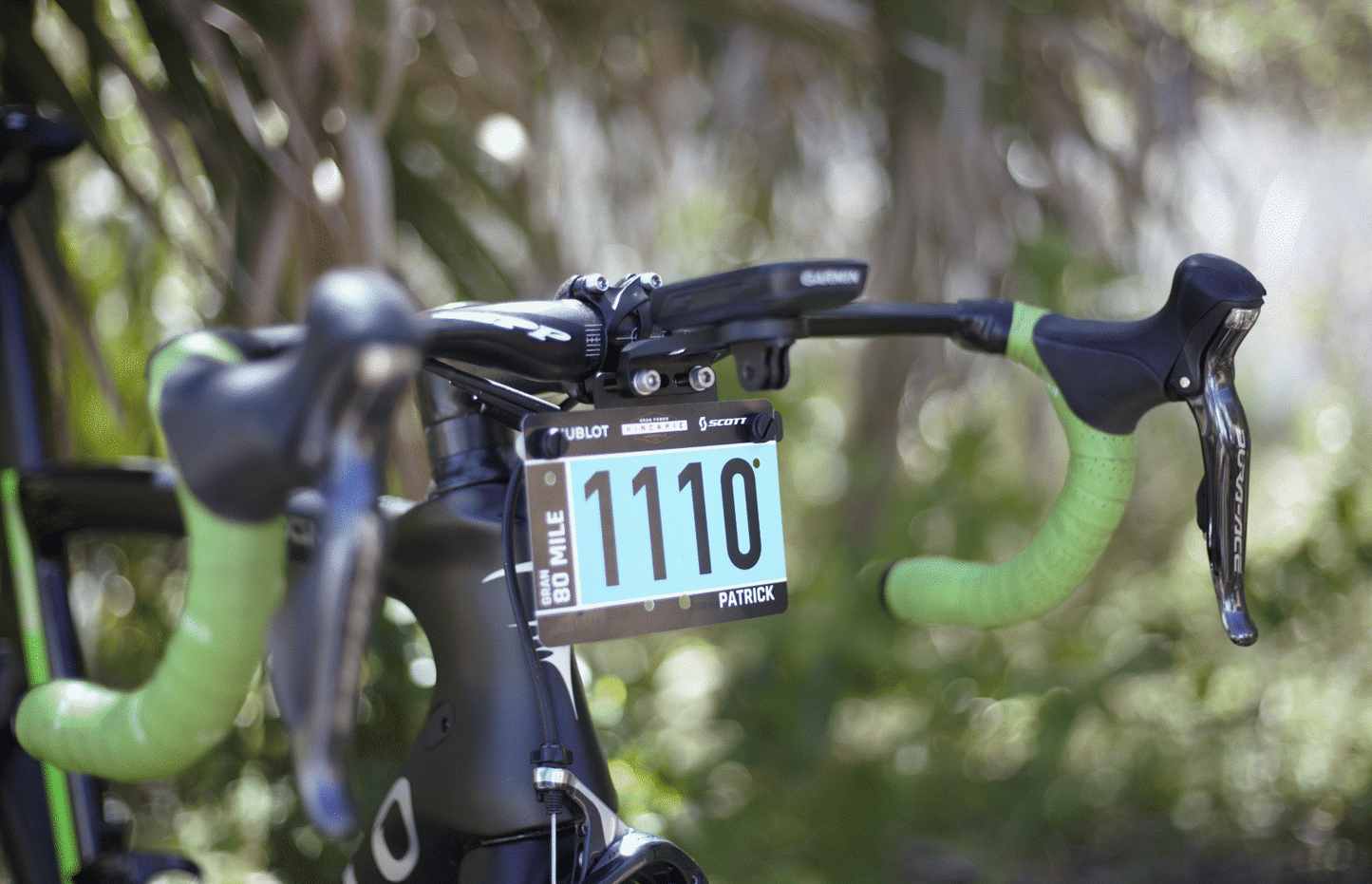 Stem Mount
